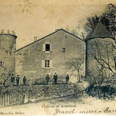 Chateau De Sothonod